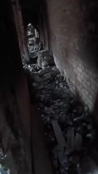 Мясной свежак из Покровска (Красноармейска)