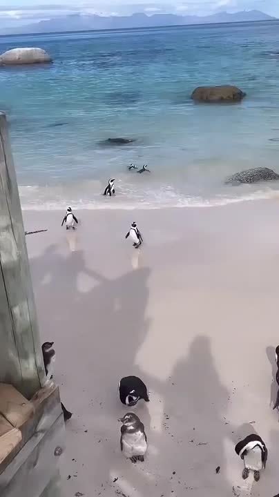 С добрым утром, Мариуполь!