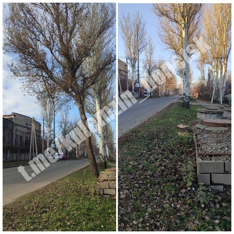 Сотрудники коммунального предприятия «Зелёное строительство» ежедневно занимаются уборкой и благоустройством городских территорий: убирают опавшую листву, подметают тротуары, обрезают и ликвидируют аварийные деревья Сотрудники коммунального предприятия «Зелёное строительство» ежедневно занимаются уборкой и благоустройством городских территорий: убирают опавшую листву, подметают тротуары, обрезают и ликвидируют аварийные деревья