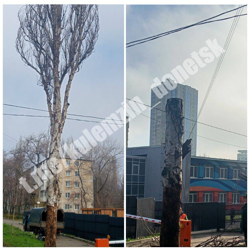 Сотрудники коммунального предприятия «Зелёное строительство» ежедневно занимаются уборкой и благоустройством городских территорий: убирают опавшую листву, подметают тротуары, обрезают и ликвидируют аварийные деревья Сотрудники коммунального предприятия «Зелёное строительство» ежедневно занимаются уборкой и благоустройством городских территорий: убирают опавшую листву, подметают тротуары, обрезают и ликвидируют аварийные деревья