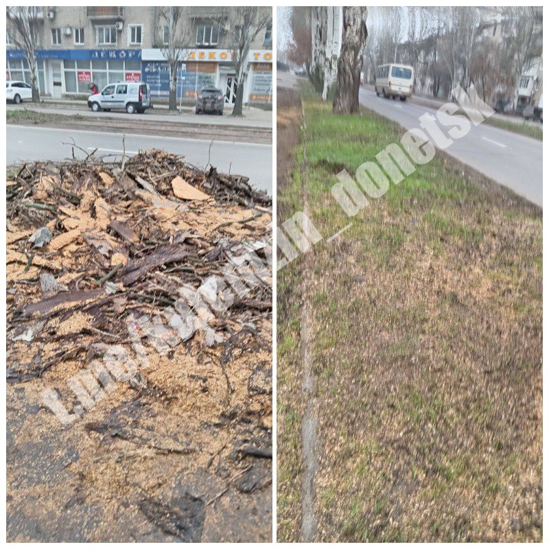 Сотрудники коммунального предприятия «Зелёное строительство» ежедневно занимаются уборкой и благоустройством городских территорий: убирают опавшую листву, подметают тротуары, обрезают и ликвидируют аварийные деревья Сотрудники коммунального предприятия «Зелёное строительство» ежедневно занимаются уборкой и благоустройством городских территорий: убирают опавшую листву, подметают тротуары, обрезают и ликвидируют аварийные деревья