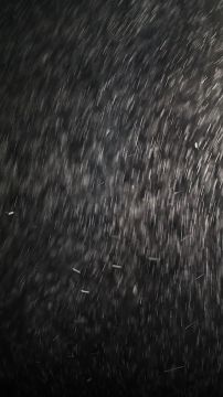 Как ты можешь получить штраф за новогодние украшения