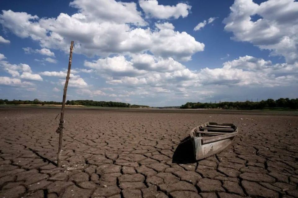 ��������� ���: �������� ����:. ������ ��������� ���