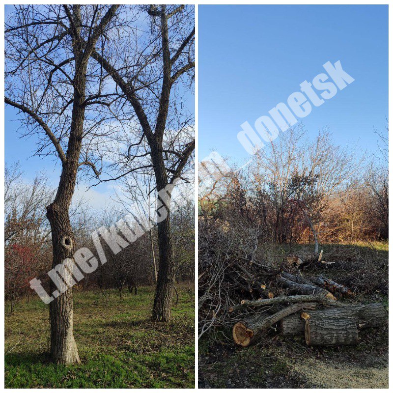 Сотрудники коммунального предприятия «Зелёное строительство» ежедневно занимаются уборкой и благоустройством городских территорий: убирают опавшую листву, подметают тротуары, обрезают и ликвидируют аварийные деревья