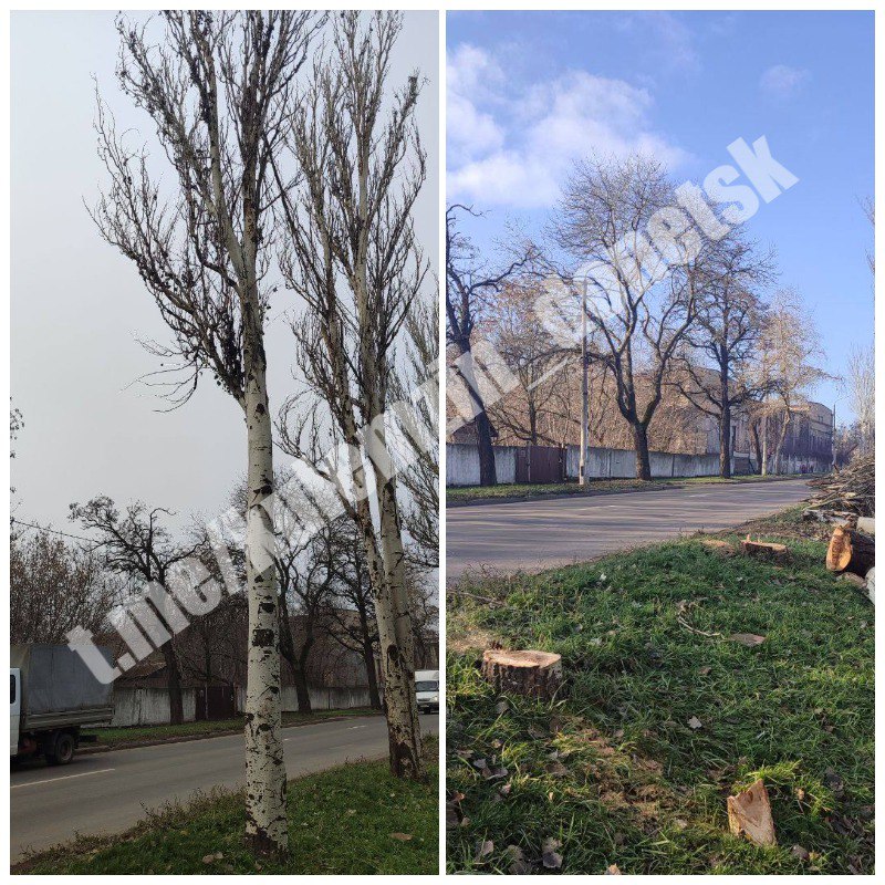 Сотрудники коммунального предприятия «Зелёное строительство» ежедневно занимаются уборкой и благоустройством городских территорий: убирают опавшую листву, подметают тротуары, обрезают и ликвидируют аварийные деревья Сотрудники коммунального предприятия «Зелёное строительство» ежедневно занимаются уборкой и благоустройством городских территорий: убирают опавшую листву, подметают тротуары, обрезают и ликвидируют аварийные деревья