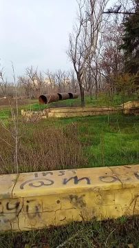 Парк Лепорского больше не будет заливать фекалиями?