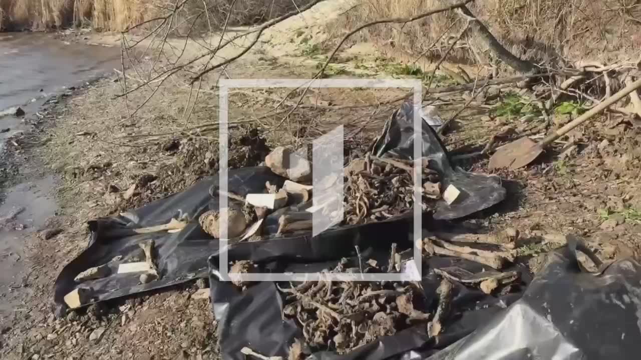 Безымянный полк: в посёлке Дмитровка нашли останки советских солдат!