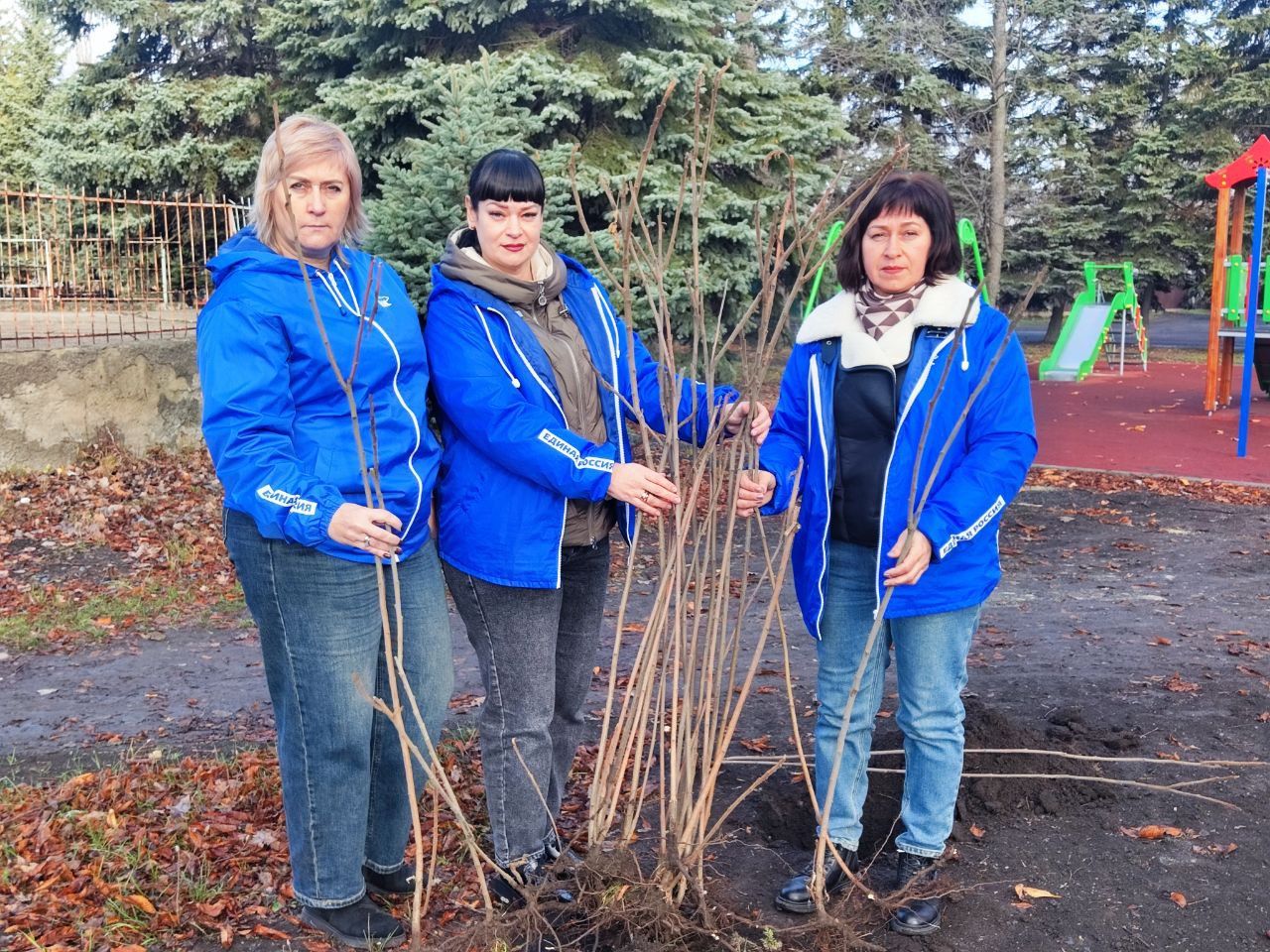 "Единая Россия" озеленяет Торез: Саженцы акации в парке у Клуба им. Кирова