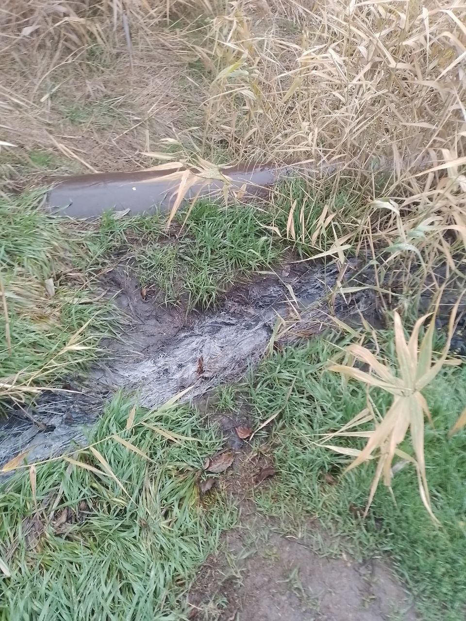 Сотрудники Минприроды ДНР по поручению Главы Донецкой Народной Республики провели проверку факта сброса канализационных стоков в Нижнекальмиусское водохранилище Сотрудники Минприроды ДНР по поручению Главы Донецкой Народной Республики провели проверку факта сброса канализационных стоков в Нижнекальмиусское водохранилище