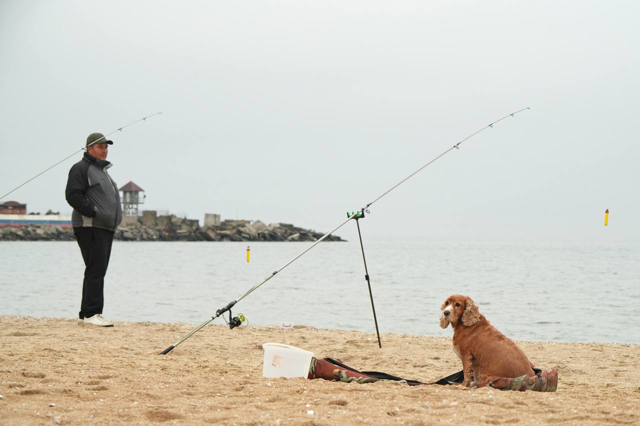 Небывалая стройка, прогуливающиеся горожане и большой трафик на дорогах: фоторепортаж одного дня в Мариуполе Небывалая стройка, прогуливающиеся горожане и большой трафик на дорогах: фоторепортаж одного дня в Мариуполе