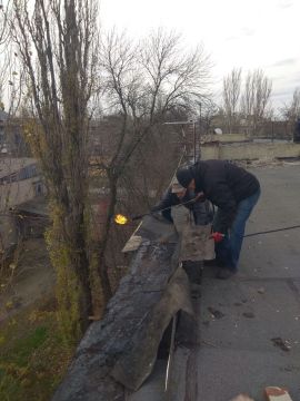  :        1           л      : . , 17; ....