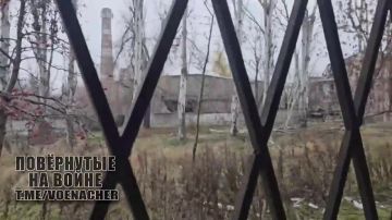 Осмотр администрации Покровска, кругом жмуры ВСУ