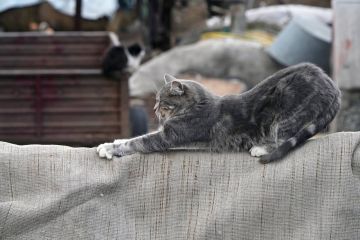 Небывалая стройка, прогуливающиеся горожане и большой трафик на дорогах: фоторепортаж одного дня в Мариуполе
