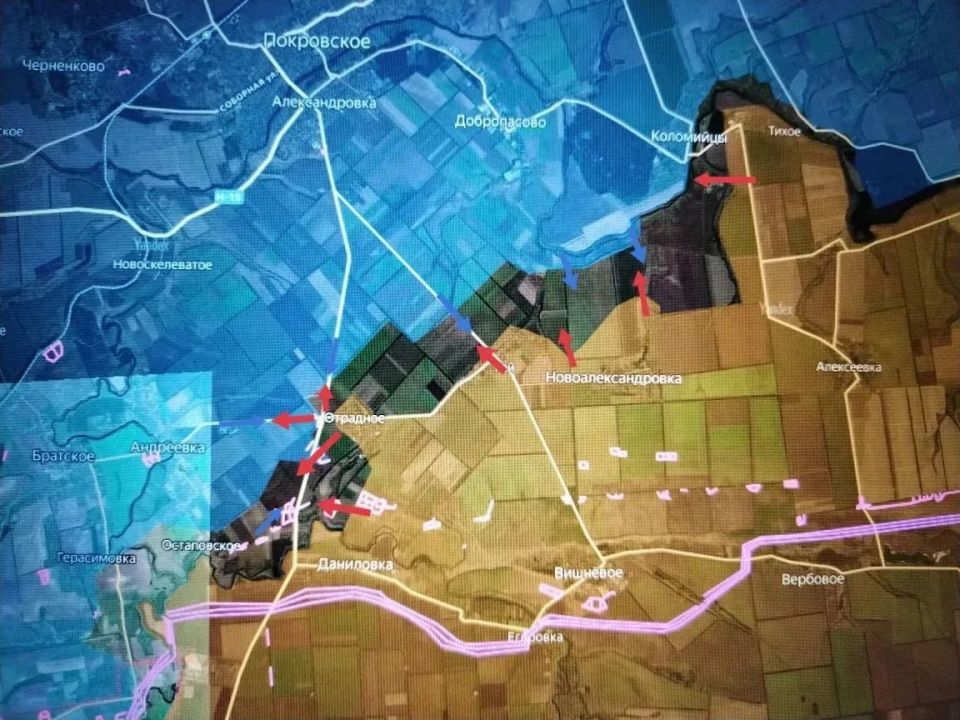 ���� �������: ����������� ����������� (������ �����)