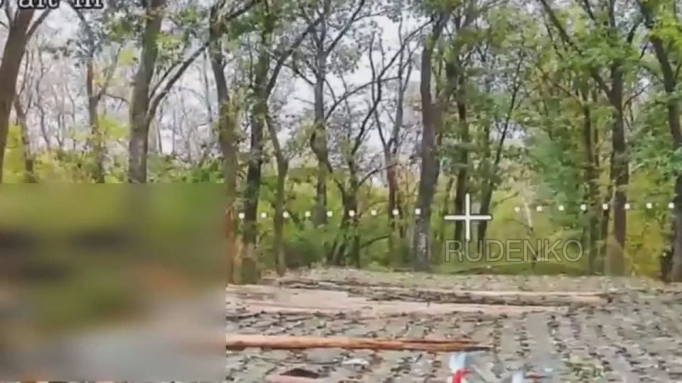  :  FPV-    71-        155-    () PzH-2000   ...