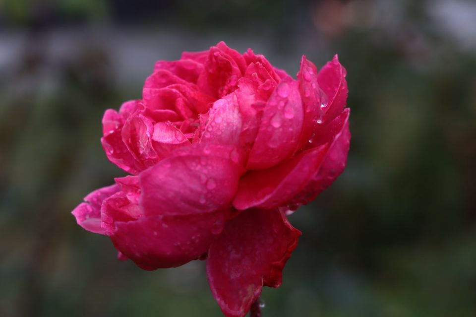 ������ ���� ������� ���������� ������� ��������!