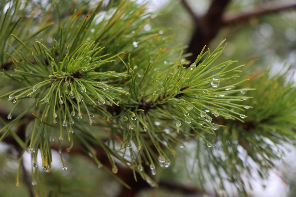 ������ ���� ������� ���������� ������� ��������!