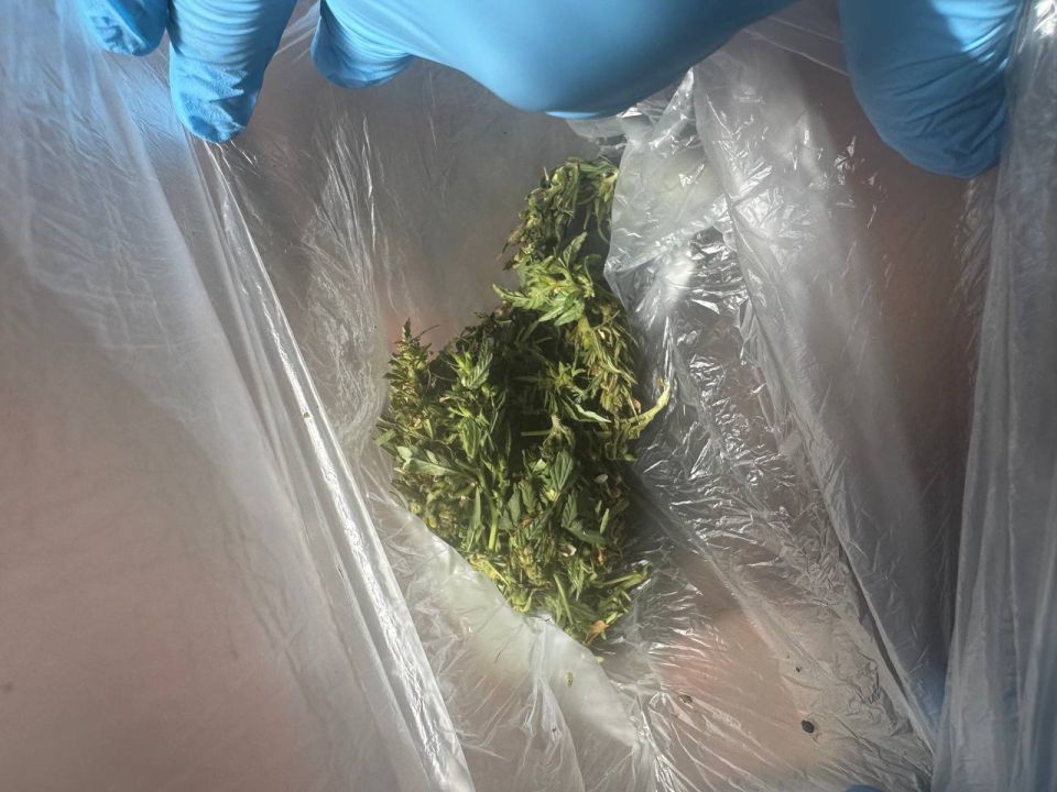 В Шахтёрске полицейские выявили факт незаконного хранения наркотиков В Шахтёрске полицейские выявили факт незаконного хранения наркотиков