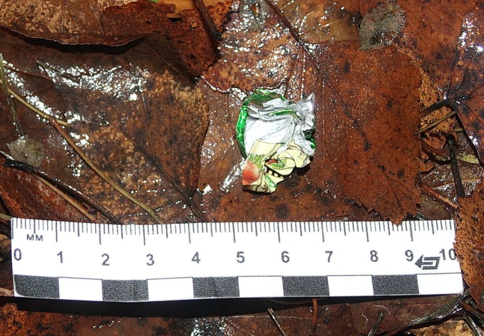 �� ���������� � ���������� ������� ���������� ������������ ����������� ����� ��������� 33-������� �������� ������