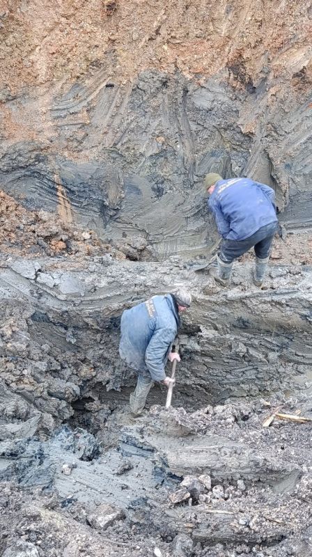 ����� �����: ������������ ������� �������� ����� �������� � ������������ �� �������� ���������� �� ����������� ����������� ������ ���� � ��������