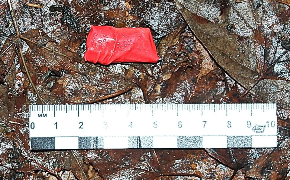 По подозрению в незаконном обороте наркотиков транспортные полицейские Перми задержали 33-летнего местного жителя По подозрению в незаконном обороте наркотиков транспортные полицейские Перми задержали 33-летнего местного жителя