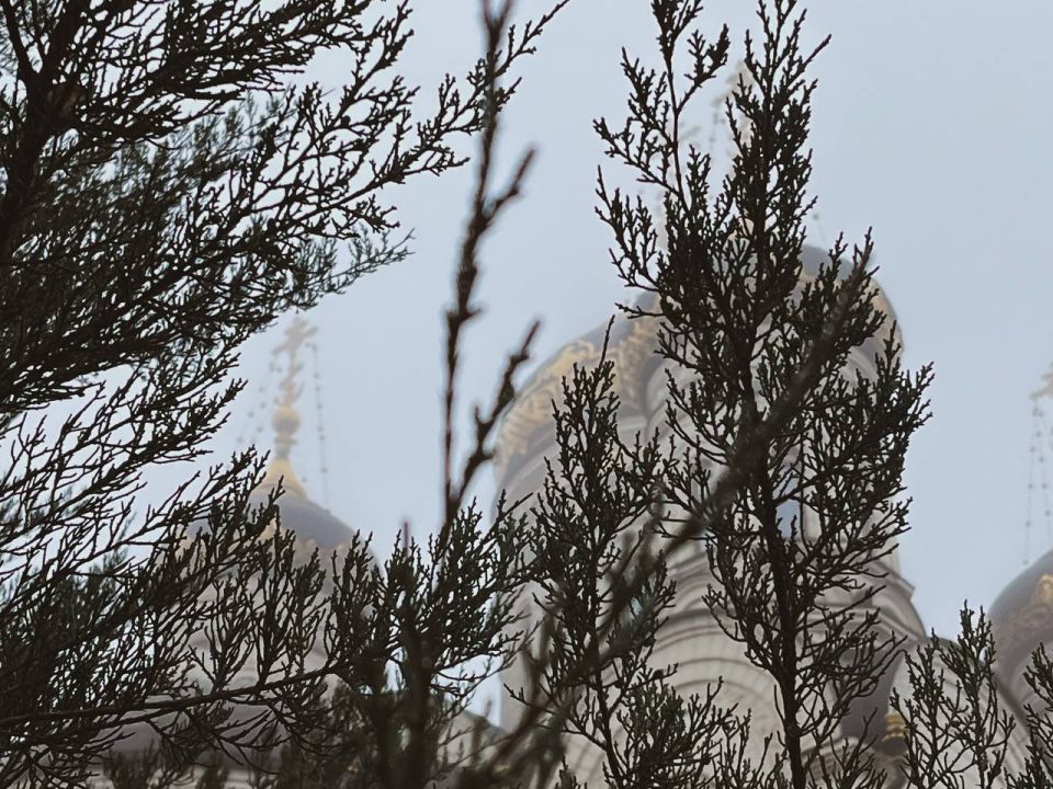 Насладись последними туманными буднями этой осени Насладись последними туманными буднями этой осени