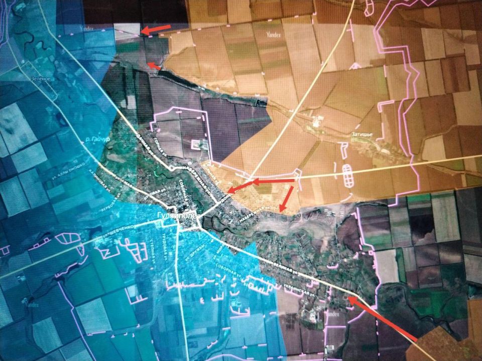 ���� �������: ����������� �����������. ������������� ��� "�����" ���������� ������������ � ������������ � ����������� ����� �����������