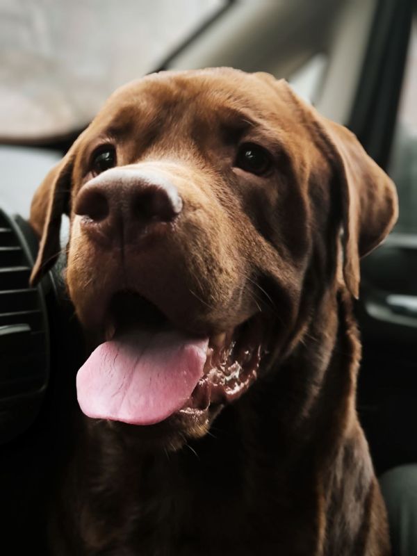 Денис Григорюк: Дождался. Приготовил жаркий донецкий прием