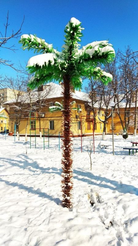 Обычный двор — необычными руками Обычный двор — необычными руками
