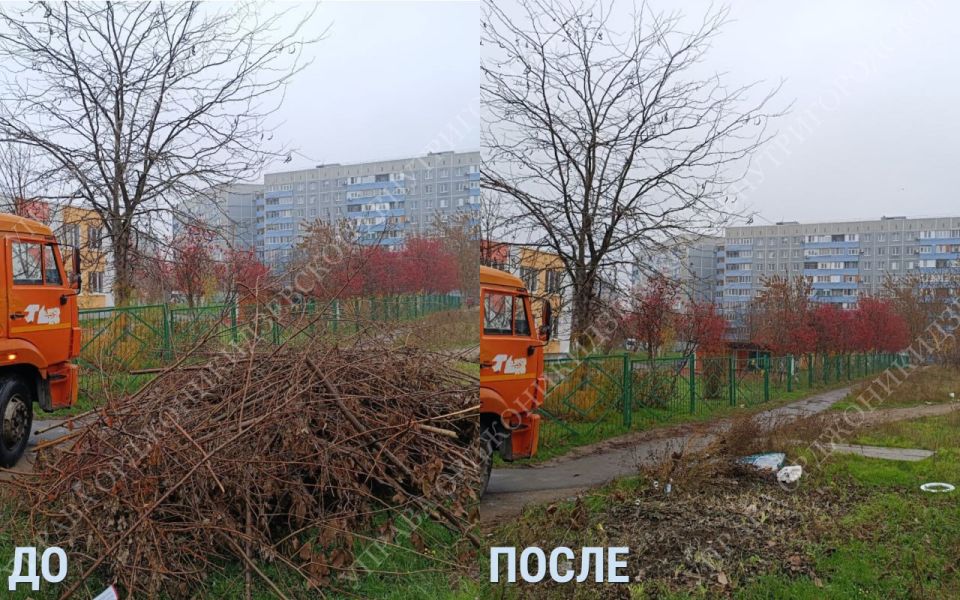 Тульская область рядом - каждый день, каждый шаг Тульская область рядом - каждый день, каждый шаг