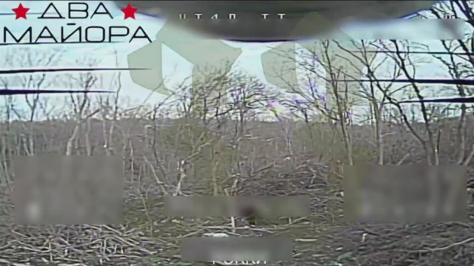 Два майора: Добропольское направление, севернее Красноармейска (Покровска)