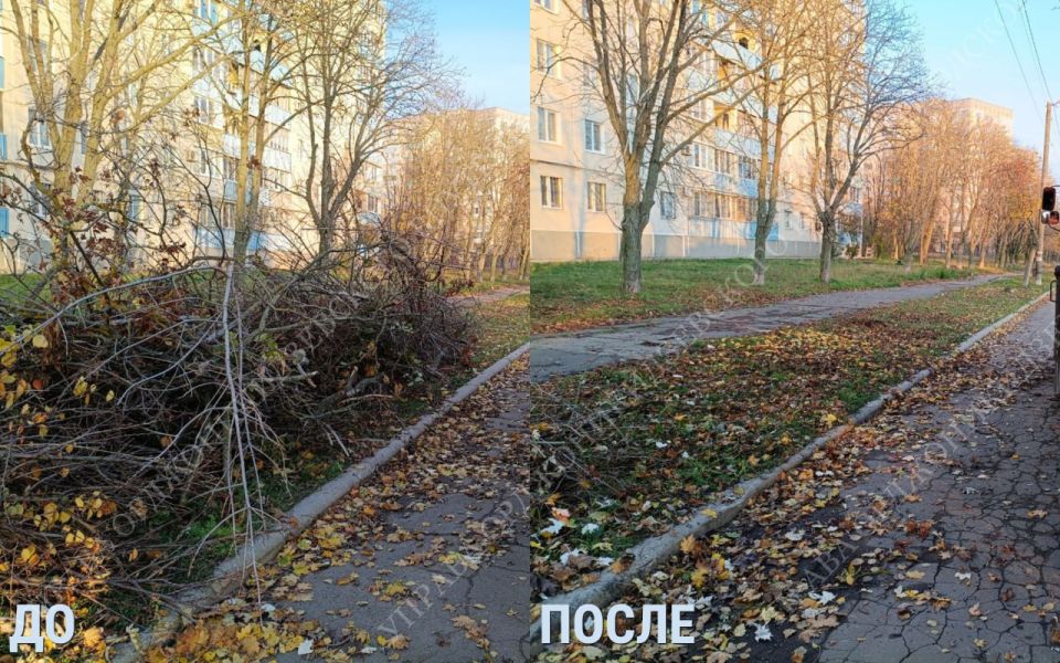 Тульская область рядом - каждый день, каждый шаг Тульская область рядом - каждый день, каждый шаг
