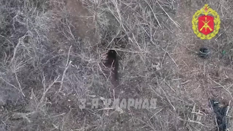 Армия России штурмует Свято-Покровское: наш боец зачищает руины под Северском