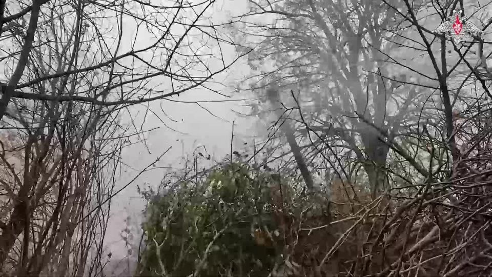 Кадры освобождения Красноармейска (Покровска) в ДНР