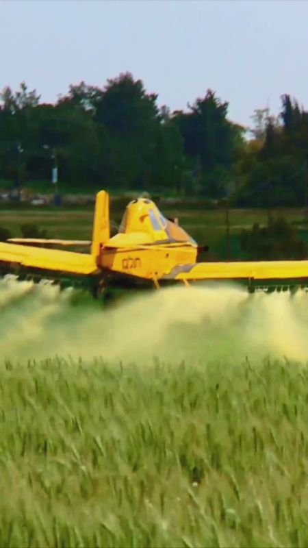 3 декабря — Международный день борьбы с пестицидами