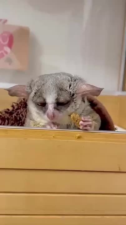 Примерно так ощущается завтрак перед новым рабочим днем: