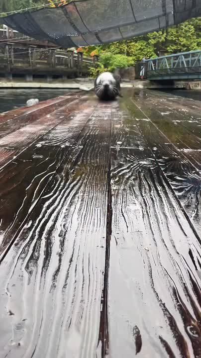 С добрым утром, Мариуполь!