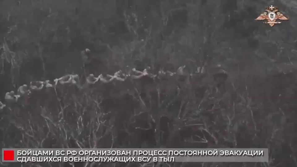 ВСУшники из окружённого мирноградского гарнизона сдаются в плен пачками!