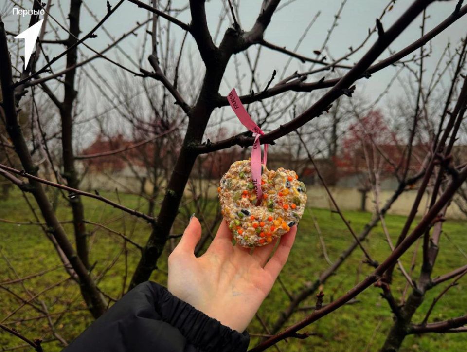 Шары с кормом для птиц. В Докучаевске наши волонтеры собрались, чтобы подготовить корма для пернатых Шары с кормом для птиц. В Докучаевске наши волонтеры собрались, чтобы подготовить корма для пернатых
