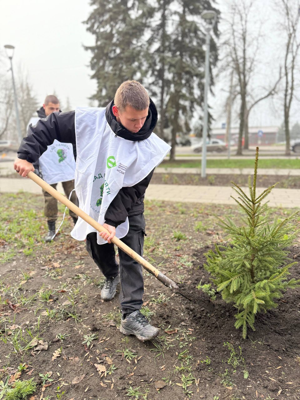 Сад Памяти: история, рожденная болью Сад Памяти: история, рожденная болью