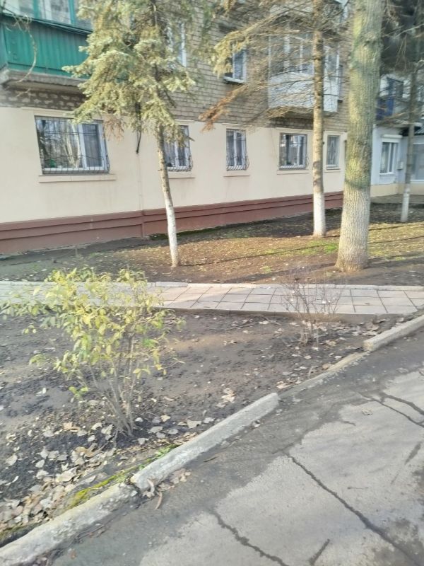 На центральных улицах Шахтерска проверили качество выполнения работ по наведению санитарного порядка На центральных улицах Шахтерска проверили качество выполнения работ по наведению санитарного порядка