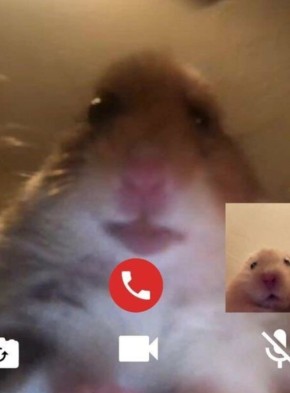 Facetime    