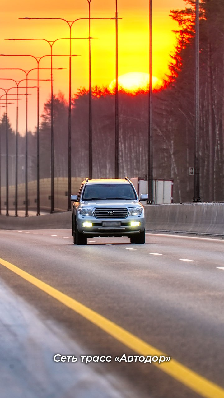 Друзья, зима вступила в свои права Друзья, зима вступила в свои права