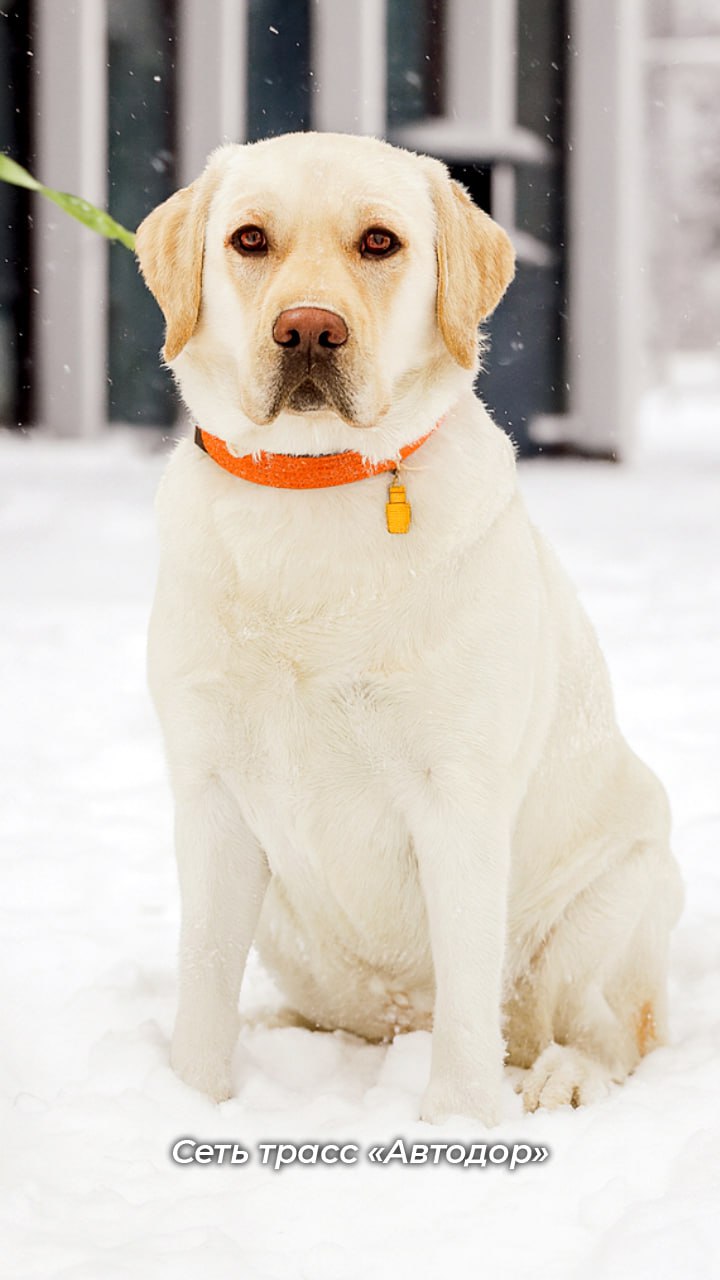 Друзья, зима вступила в свои права Друзья, зима вступила в свои права