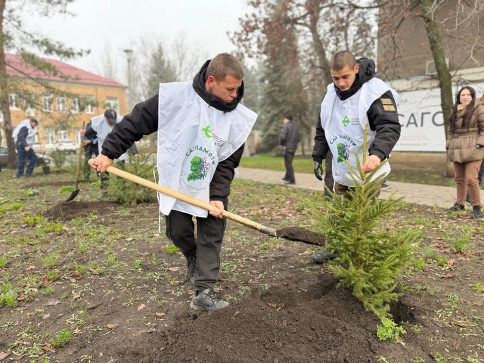 В Харцызске ветераны-адресаты филиала фонда «Защитники Отечества» поучаствовали во Всероссийской акции «Сад Памяти» В Харцызске ветераны-адресаты филиала фонда «Защитники Отечества» поучаствовали во Всероссийской акции «Сад Памяти»