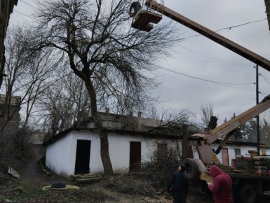 4 ,                      53  . 