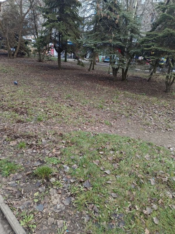 На центральных улицах Шахтерска проверили качество выполнения работ по наведению санитарного порядка На центральных улицах Шахтерска проверили качество выполнения работ по наведению санитарного порядка