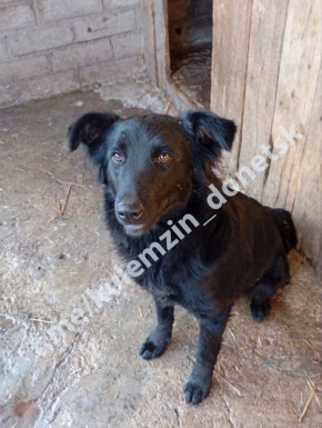  :       ,        :      ,     ...