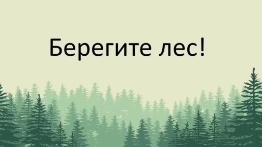 Минприроды ДНР напоминает об ответственности за незаконную рубку леса