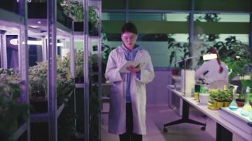  2025    ,       ,            , ...